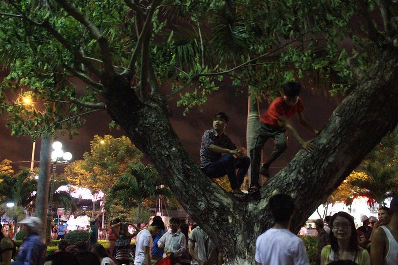 Muon the ba dao xem phao hoa Da Nang 2015-Hinh-4